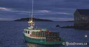 About 1,450 lobster boats to head out on Day 1 of Canada’s largest lobster fishery