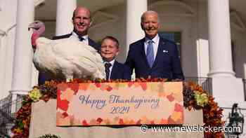 Biden verleent gratie aan Thanksgiving-kalkoenen Peach en Blossom