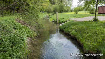 Grüne fordern Schutz vor Starkregen