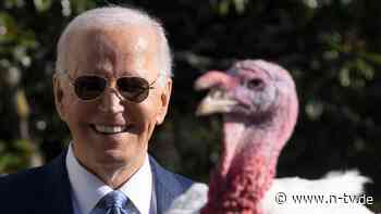 US-Tradition vor Thanksgiving: Biden rettet "Peach" und "Blossom" vor der Schlachtbank