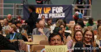 COP29 Agreement Says Someone Should Pay to Help Developing Countries, But Not Who