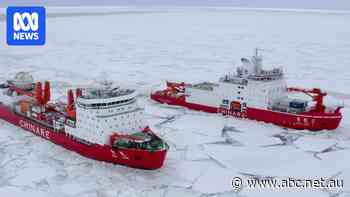 Tasmania invites Chinese icebreakers to expand their use of Hobart as gateway city to Antarctica