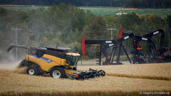 Here's how much Alberta exports to the United States