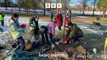 Sheffield festival funds new trees for local park