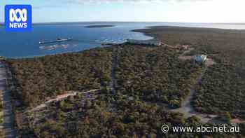 Anger as SA government approves desalination plant before release of water security report