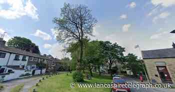 Village green tree posing danger to community to be chopped down