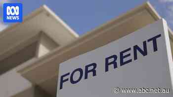 One in five Australian renters living below the poverty line, new study finds