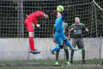 Thorben Duerloo zet ongeslagen reeks met VC Zwijnaarde verder tegen Cercle Melle: “Mix van ervaring en jong talent werpt zijn vruchten af”