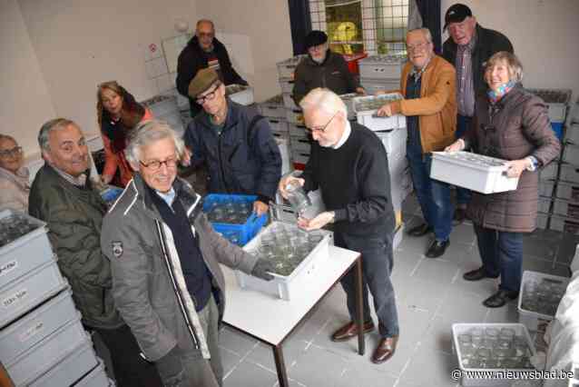 Kerst op het Begijnhof zoekt vrijwilligers voor kerstavond