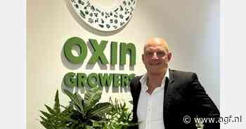 "Als je realistisch kijkt, moet er volgend jaar 5-7% bij de broccoliprijs om alleen de gestegen kosten te dekken"