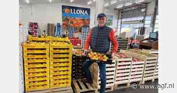 Marktbezoek Lomme: Inspiratie voor specialisten en marktkramers