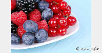 Nieuwe voedselveiligheidsnormen voor zachtfruit, bladgroenten en meloenen in Nieuw-Zeeland