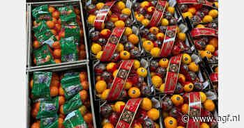 Kleinere citrusoogst op Sicilië door droogte