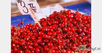 "Minder dan de helft kersentelers leeft voorwaarden vrijgestelde gewasbeschermingsmiddelen na"