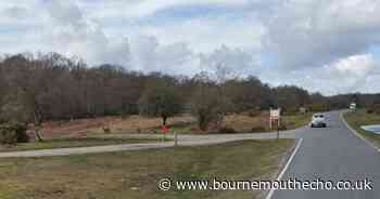 Bomb squad near luxury New Forest hotel