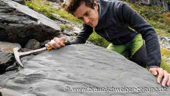 Wanderin findet Spurenfossilien mit unglaublichen Details