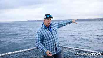 Are ocean waves the future of energy? Scientists say more development needed