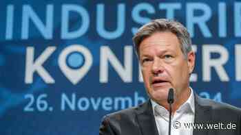 Habeck will „Stabilisierung, gegebenenfalls Senkung der Netzentgelte durch Zuschuss“