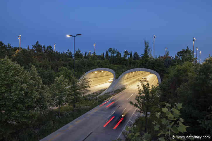 Design Strategies for Increasing Biodiversity