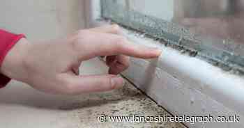 8 ways you can reduce window condensation and prevent mould growth at home