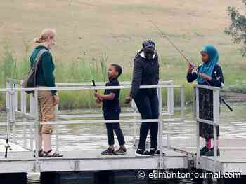 Edmonton proposing policy changes to support migrant communities