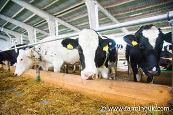 Arla trial sees 30 farmers use feed additive to cut emissions
