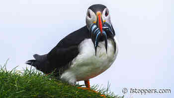 Streamline Your Edits with Adobe Camera Raw's AI Tools