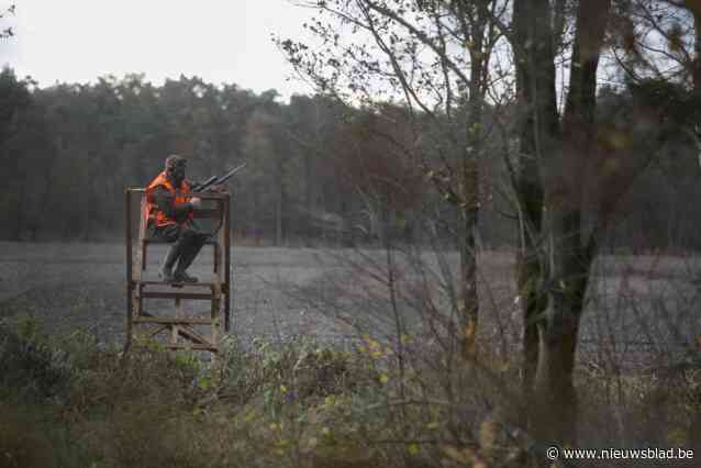 Gilles (15) werd in het gezicht geschoten door jager die nu voor rechter verschijnt: “Ik heb nog steeds 28 hagelbollen in mijn lichaam”