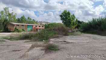 Terre pubbliche, a Tor de' Cenci pascoli e agricoltura bio. Ecco chi ha vinto il bando