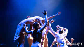 District Dance Festival 2024