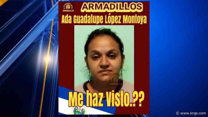 New Mexico authorities find human skeletal remains at site flagged by volunteers