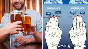 Scientists reveal why some people love BEER - and say it starts when you're still in the womb