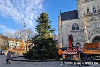 Grote kerstboom toegekomen en  Wintermagie in opbouw