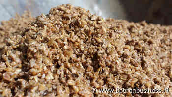 Bierbostel is in trek op ruwvoermarkt