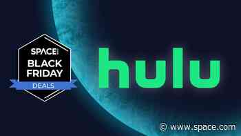 Epic Black Friday deal: Save a huge 90% on Hulu for a whole year