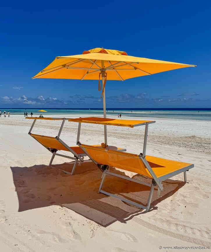 Alles over de Black Friday deals van TUI