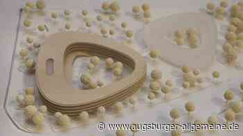 Neues Landratsamt: Das Klammern an ein Ratsbegehren