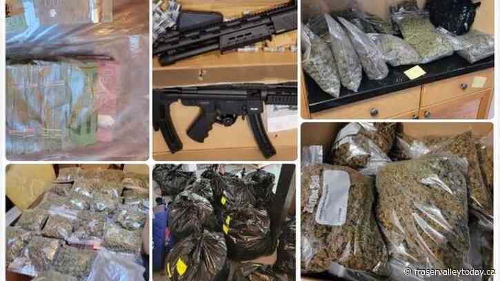 Surrey RCMP bring down marijuana distribution ring