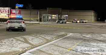 Man shot dead by Winnipeg police after officer stabbed in throat