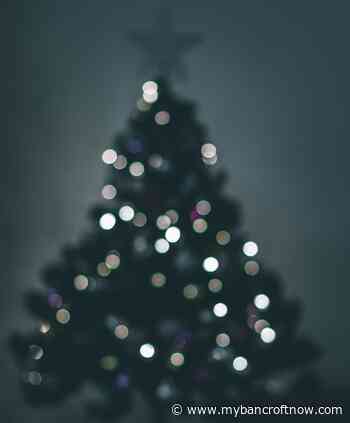 Lights of Love will shine this Friday