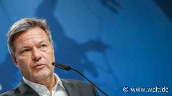 „Habeck zündet permanent Strohfeuer an, die dann nach kurzer Zeit wieder erlöschen“