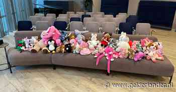 Bijzonder gebaar: Kiki (22) maakt tientallen kinderen blij na haar overlijden