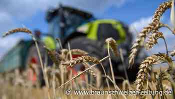 Wie ein Familienunternehmer Bio zum Durchbruch verhelfen will