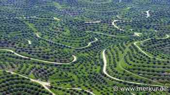 Fake-Biosprit aus China: Umweltministerium erwartet Schadenersatz-Klage in Milliardenhöhe