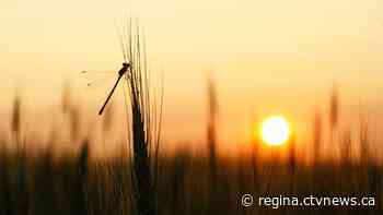 Here are the winners of the 2024 ExploreSask photo contest