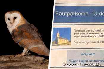 Parkeerverbod vanwege kerkuilen? Politie waarschuwt voor valse briefjes over verkeersinbreuken