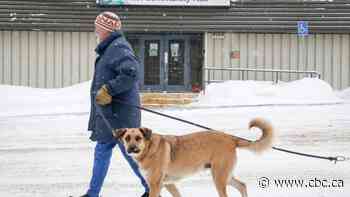 Crowsnest Pass voted for coal — other Alberta communities don't all share the enthusiasm