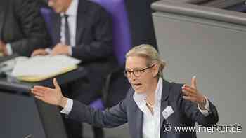 Experte warnt: AfD könnte bei Vertrauensfrage „Chaos stiften“ und überraschend für Scholz stimmen