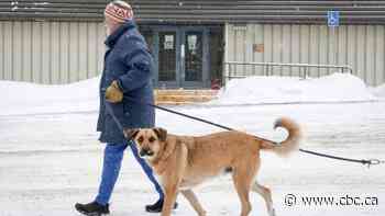 Crowsnest Pass voted for coal — other Alberta communities don't all share the enthusiasm