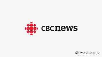 Animal welfare groups in Calgary struggling to keep up with pet surrenders